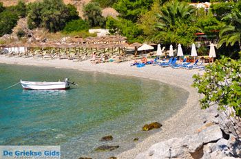 Panormos Skopelos | Sporaden Griekenland foto 11 - Foto van https://www.grieksegids.nl/fotos/skopelos/normaal/skopelos-grieksegids-161.jpg