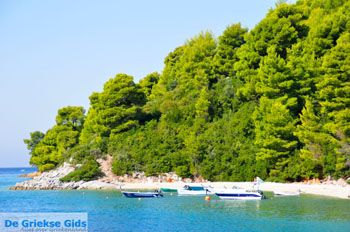 Panormos Skopelos | Sporaden Griekenland foto 13 - Foto van https://www.grieksegids.nl/fotos/skopelos/normaal/skopelos-grieksegids-163.jpg