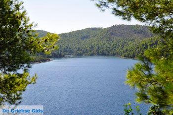 Panormos Skopelos | Sporaden Griekenland foto 14 - Foto van https://www.grieksegids.nl/fotos/skopelos/normaal/skopelos-grieksegids-164.jpg
