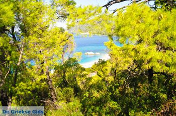 Milia | Skopelos Sporaden Griekenland foto 1 - Foto van https://www.grieksegids.nl/fotos/skopelos/normaal/skopelos-grieksegids-167.jpg