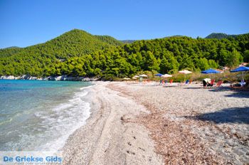 Milia | Skopelos Sporaden Griekenland foto 11 - Foto van https://www.grieksegids.nl/fotos/skopelos/normaal/skopelos-grieksegids-177.jpg