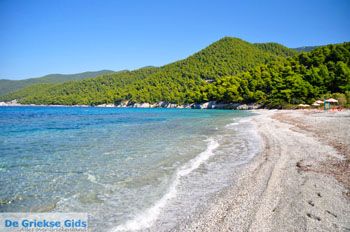 Milia | Skopelos Sporaden Griekenland foto 12 - Foto van https://www.grieksegids.nl/fotos/skopelos/normaal/skopelos-grieksegids-178.jpg