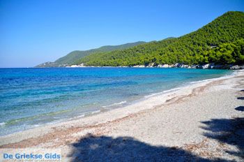 Milia | Skopelos Sporaden Griekenland foto 16 - Foto van https://www.grieksegids.nl/fotos/skopelos/normaal/skopelos-grieksegids-182.jpg