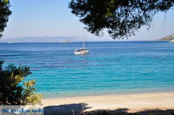 Kastani | Skopelos Sporaden Griekenland foto 3 - Foto van https://www.grieksegids.nl/fotos/skopelos/normaal/skopelos-grieksegids-185.jpg