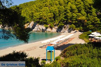 Kastani | Skopelos Sporaden Griekenland foto 4 - Foto van https://www.grieksegids.nl/fotos/skopelos/normaal/skopelos-grieksegids-186.jpg