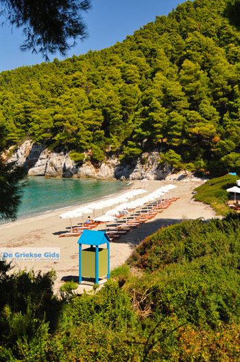 Kastani | Skopelos Sporaden Griekenland foto 5 - Foto van https://www.grieksegids.nl/fotos/skopelos/normaal/skopelos-grieksegids-187.jpg