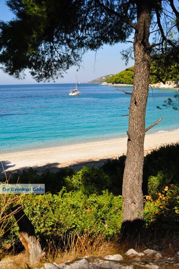 Kastani | Skopelos Sporaden Griekenland foto 7 - Foto van https://www.grieksegids.nl/fotos/skopelos/normaal/skopelos-grieksegids-189.jpg