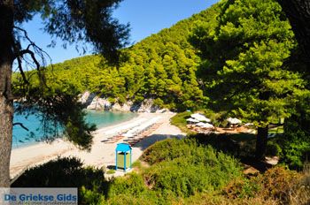 Kastani | Skopelos Sporaden Griekenland foto 8 - Foto van https://www.grieksegids.nl/fotos/skopelos/normaal/skopelos-grieksegids-190.jpg