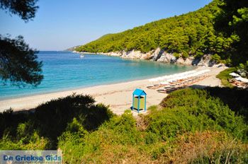 Kastani | Skopelos Sporaden Griekenland foto 10 - Foto van https://www.grieksegids.nl/fotos/skopelos/normaal/skopelos-grieksegids-192.jpg
