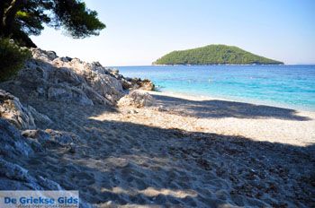 Kastani | Skopelos Sporaden Griekenland foto 11 - Foto van https://www.grieksegids.nl/fotos/skopelos/normaal/skopelos-grieksegids-193.jpg