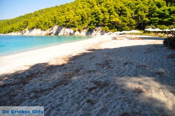 Kastani | Skopelos Sporaden Griekenland foto 12 - Foto van https://www.grieksegids.nl/fotos/skopelos/normaal/skopelos-grieksegids-194.jpg