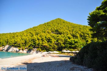 Kastani | Skopelos Sporaden Griekenland foto 13 - Foto van https://www.grieksegids.nl/fotos/skopelos/normaal/skopelos-grieksegids-195.jpg