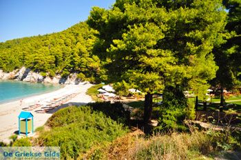Kastani | Skopelos Sporaden Griekenland foto 14 - Foto van https://www.grieksegids.nl/fotos/skopelos/normaal/skopelos-grieksegids-196.jpg
