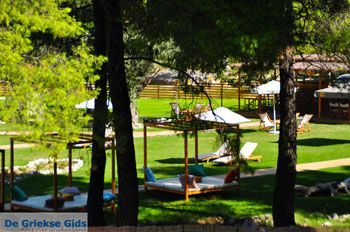 Kastani | Skopelos Sporaden Griekenland foto 15 - Foto van https://www.grieksegids.nl/fotos/skopelos/normaal/skopelos-grieksegids-197.jpg