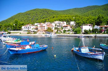 Klima-Elios en Hovolo | Skopelos Sporaden Griekenland foto 3 - Foto van https://www.grieksegids.nl/fotos/skopelos/normaal/skopelos-grieksegids-200.jpg