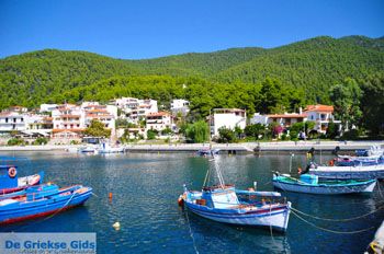 Klima-Elios en Hovolo | Skopelos Sporaden Griekenland foto 4 - Foto van De Griekse Gids