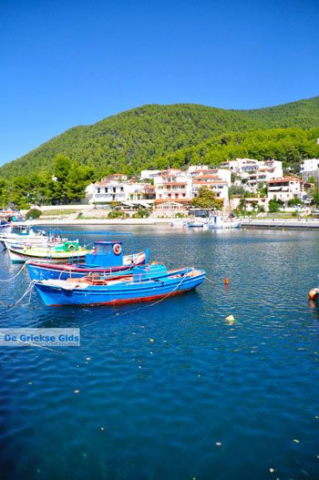 Klima-Elios en Hovolo | Skopelos Sporaden Griekenland foto 5 - Foto van https://www.grieksegids.nl/fotos/skopelos/normaal/skopelos-grieksegids-202.jpg