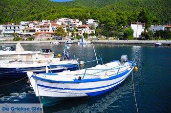 Klima-Elios en Hovolo | Skopelos Sporaden Griekenland foto 8 - Foto van https://www.grieksegids.nl/fotos/skopelos/normaal/skopelos-grieksegids-205.jpg