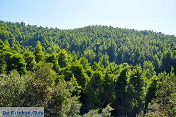 Palio Klima (Oud Klima) | Skopelos Sporaden Griekenland foto 2 - Foto van https://www.grieksegids.nl/fotos/skopelos/normaal/skopelos-grieksegids-216.jpg