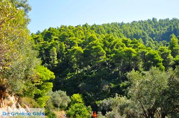 Palio Klima (Oud Klima) | Skopelos Sporaden Griekenland foto 3 - Foto van https://www.grieksegids.nl/fotos/skopelos/normaal/skopelos-grieksegids-217.jpg