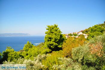 Palio Klima (Oud Klima) | Skopelos Sporaden Griekenland foto 4 - Foto van https://www.grieksegids.nl/fotos/skopelos/normaal/skopelos-grieksegids-218.jpg