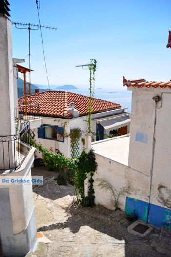 Glossa | Skopelos Sporaden Griekenland foto 9 - Foto van https://www.grieksegids.nl/fotos/skopelos/normaal/skopelos-grieksegids-241.jpg