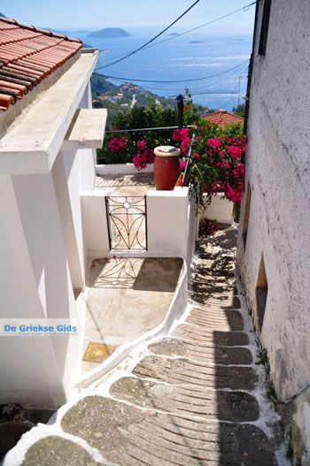 Glossa | Skopelos Sporaden Griekenland foto 18 - Foto van https://www.grieksegids.nl/fotos/skopelos/normaal/skopelos-grieksegids-250.jpg