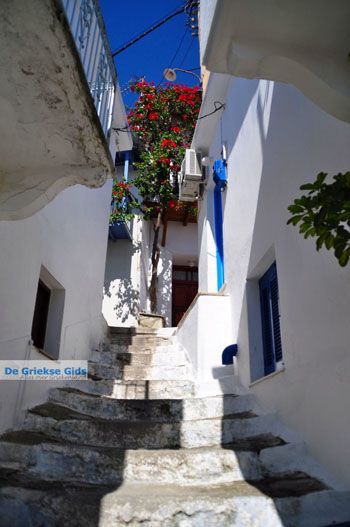 Glossa | Skopelos Sporaden Griekenland foto 20 - Foto van https://www.grieksegids.nl/fotos/skopelos/normaal/skopelos-grieksegids-252.jpg