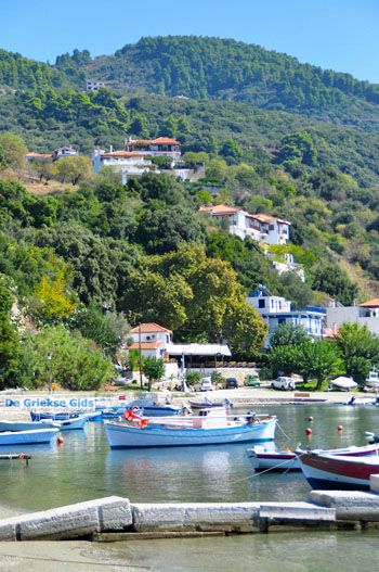 Haven Loutraki bij Glossa | Skopelos Sporaden Griekenland 2 - Foto van https://www.grieksegids.nl/fotos/skopelos/normaal/skopelos-grieksegids-257.jpg