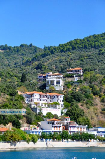Haven Loutraki bij Glossa | Skopelos Sporaden Griekenland 14 - Foto van https://www.grieksegids.nl/fotos/skopelos/normaal/skopelos-grieksegids-269.jpg