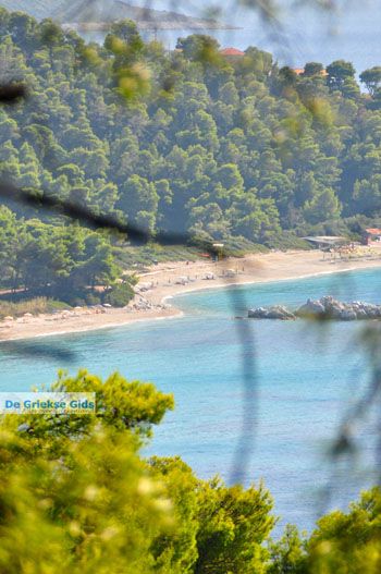Bij de stranden Kastani en Milia | Skopelos Sporaden Griekenland foto 2 - Foto van https://www.grieksegids.nl/fotos/skopelos/normaal/skopelos-grieksegids-332.jpg