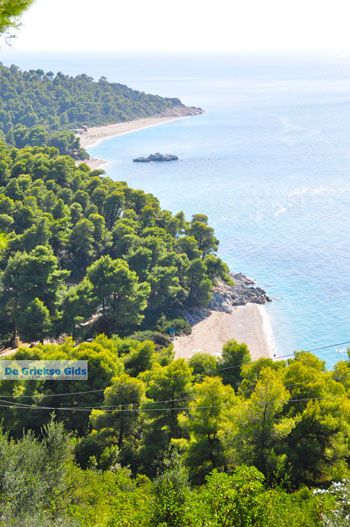 Stranden Kastani en Milia |Skopelos Sporaden Griekenland foto 3 - Foto van https://www.grieksegids.nl/fotos/skopelos/normaal/skopelos-grieksegids-335.jpg