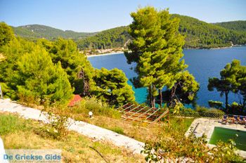 Panormos Skopelos | Sporaden Griekenland foto 19 - Foto van https://www.grieksegids.nl/fotos/skopelos/normaal/skopelos-grieksegids-342.jpg
