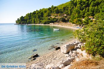 Panormos Skopelos | Sporaden Griekenland foto 22 - Foto van https://www.grieksegids.nl/fotos/skopelos/normaal/skopelos-grieksegids-345.jpg