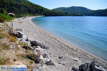 Panormos Skopelos | Sporaden Griekenland foto 23 - Foto van https://www.grieksegids.nl/fotos/skopelos/normaal/skopelos-grieksegids-346.jpg