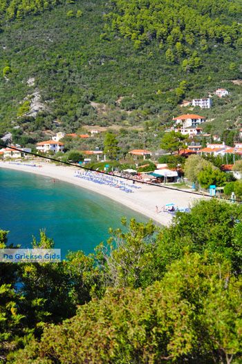 Panormos Skopelos | Sporaden Griekenland foto 25 - Foto van https://www.grieksegids.nl/fotos/skopelos/normaal/skopelos-grieksegids-348.jpg