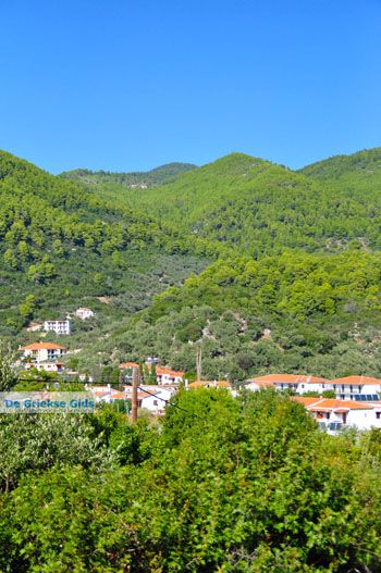 Panormos Skopelos | Sporaden Griekenland foto 28 - Foto van https://www.grieksegids.nl/fotos/skopelos/normaal/skopelos-grieksegids-351.jpg