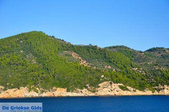 Noord Skopelos | Sporaden Griekenland foto 3 - Foto van https://www.grieksegids.nl/fotos/skopelos/normaal/skopelos-grieksegids-425.jpg