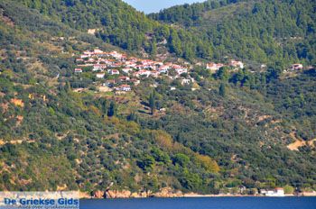 Glossa en haven Loutraki Skopelos | Sporaden Griekenland foto 5 - Foto van https://www.grieksegids.nl/fotos/skopelos/normaal/skopelos-grieksegids-431.jpg