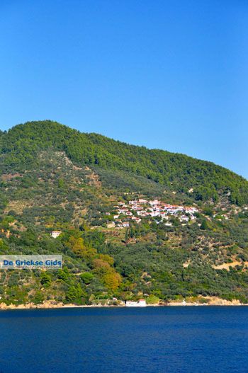 Glossa en haven Loutraki Skopelos | Sporaden Griekenland foto 13 - Foto van https://www.grieksegids.nl/fotos/skopelos/normaal/skopelos-grieksegids-439.jpg