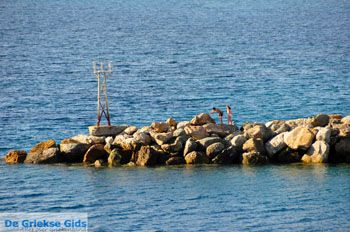 Haven Loutraki Skopelos | Sporaden Griekenland foto 1 - Foto van https://www.grieksegids.nl/fotos/skopelos/normaal/skopelos-grieksegids-460.jpg