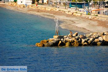 Haven Loutraki Skopelos | Sporaden Griekenland foto 6 - Foto van https://www.grieksegids.nl/fotos/skopelos/normaal/skopelos-grieksegids-465.jpg