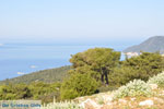 Foto Skyros Sporaden GriechenlandWeb - Foto GriechenlandWeb.de