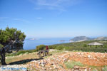 Uitzicht op baai Pefkos | Agios Panteleimon | Skyros foto 10 - Foto van De Griekse Gids