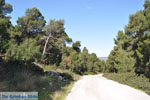 Bij Agios Panteleimon Kerk | Skyros Griekenland foto 11 - Foto van De Griekse Gids