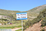 Bij Aghios Fokas | Skyros Griekenland foto 5 - Foto van De Griekse Gids