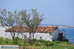 Bij Aghios Fokas | Skyros Griekenland foto 7 - Foto van De Griekse Gids