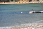 Foto Skyros Sporaden GriechenlandWeb - Foto GriechenlandWeb.de