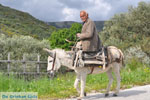 Man met Skyriaanse sandalen | Skyros Griekenland | Foto 1 - Foto van De Griekse Gids