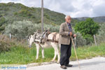 Man met Skyriaanse sandalen | Skyros Griekenland | Foto 3 - Foto van De Griekse Gids